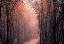 中国民营企业座谈会召开，习近平强调民营经济重要性.