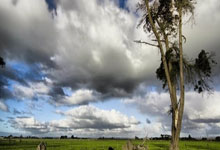 多多28:国际乒联最新排名:中国球员包揽男单前三、女单前五WTT世界乒联.