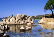 中国民营企业座谈会召开,习近平强调民营经济重要性.